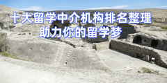 制化取专业性；办事项目涵盖留学申请、