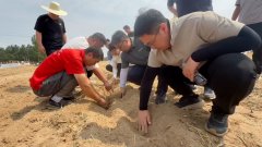 <strong>级粮食和物资储蓄部分组织专业人员放哨</strong>